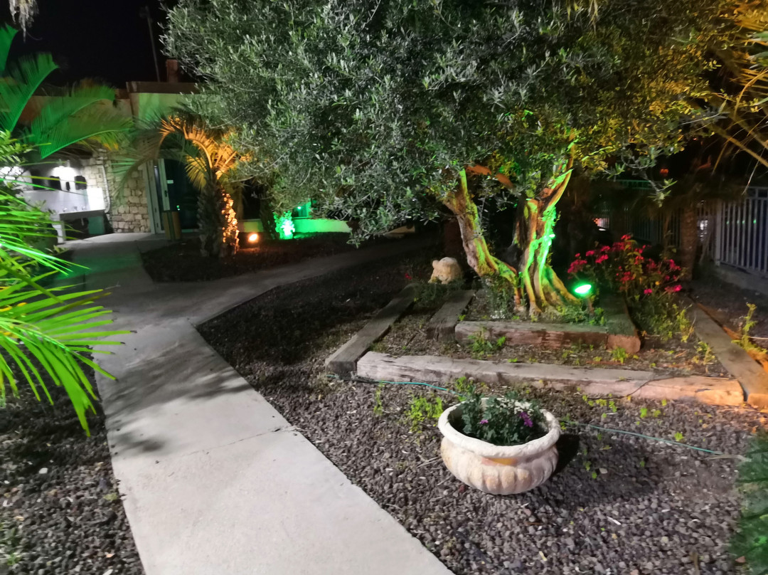 Agamim Hotel Ashkelon主图