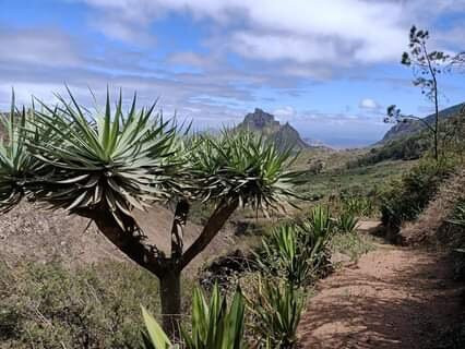 Ecolodge Cap Vert San Antao Kasa D'igreja Hébergement主图