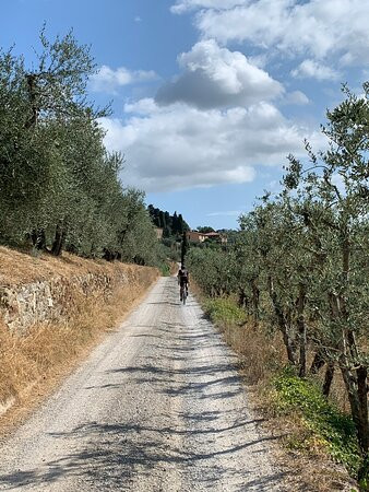 Tuscany Bicycle景点图片