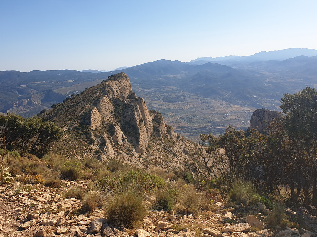 Penya Migjorn