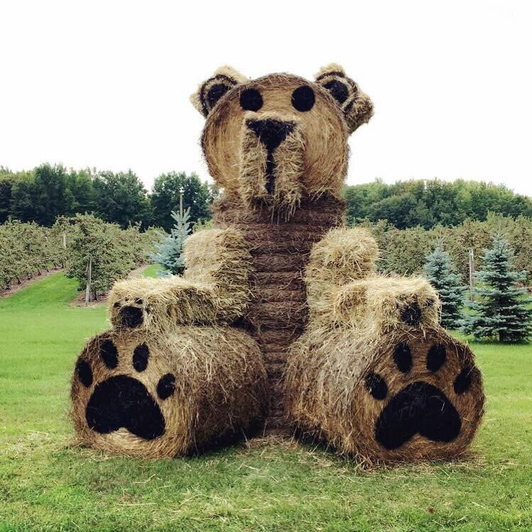 Vergers Rockburn Orchards-Hinchinbrooke必去景点