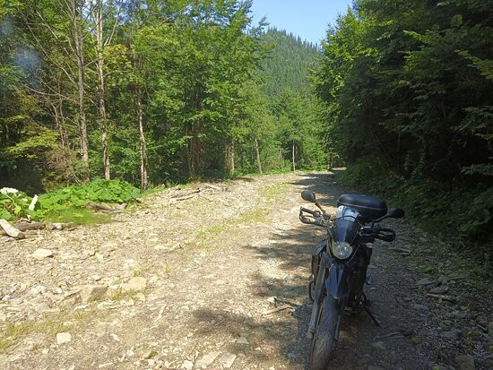 Bike2rent景点图片