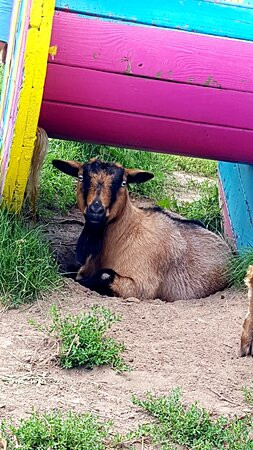 Haute Goat-Port Hope必去景点