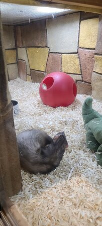 The Children's Museum-西哈特福德必去景点