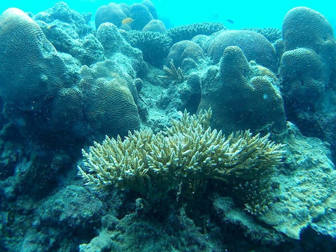 @ Samui Tour & Travel-呈塔累必去景点