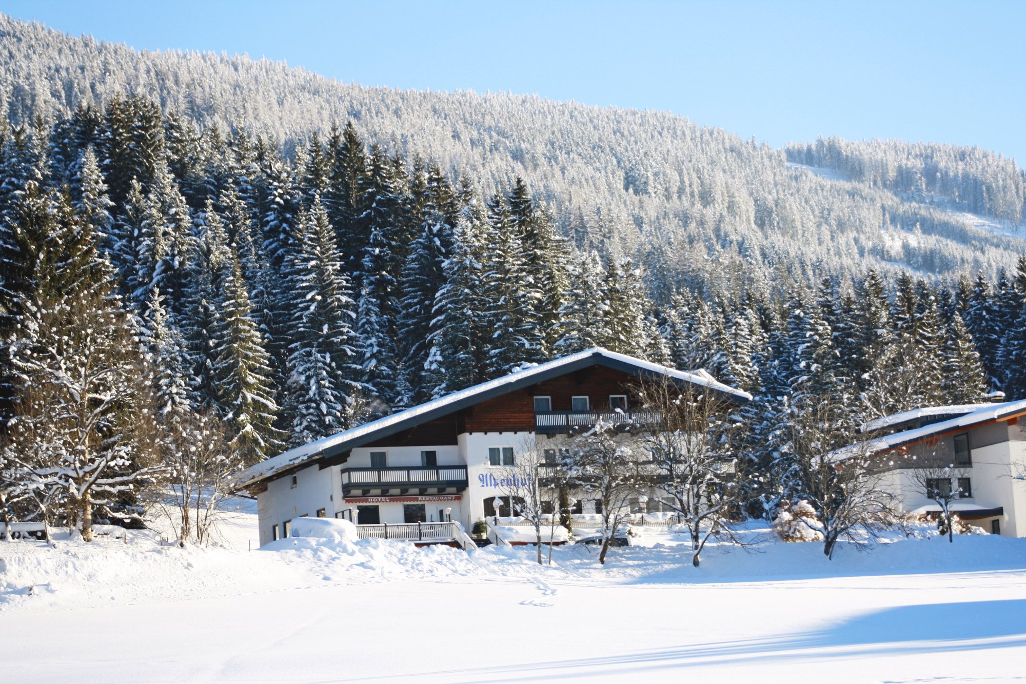 Alpenhof Boutique Hotel-官方