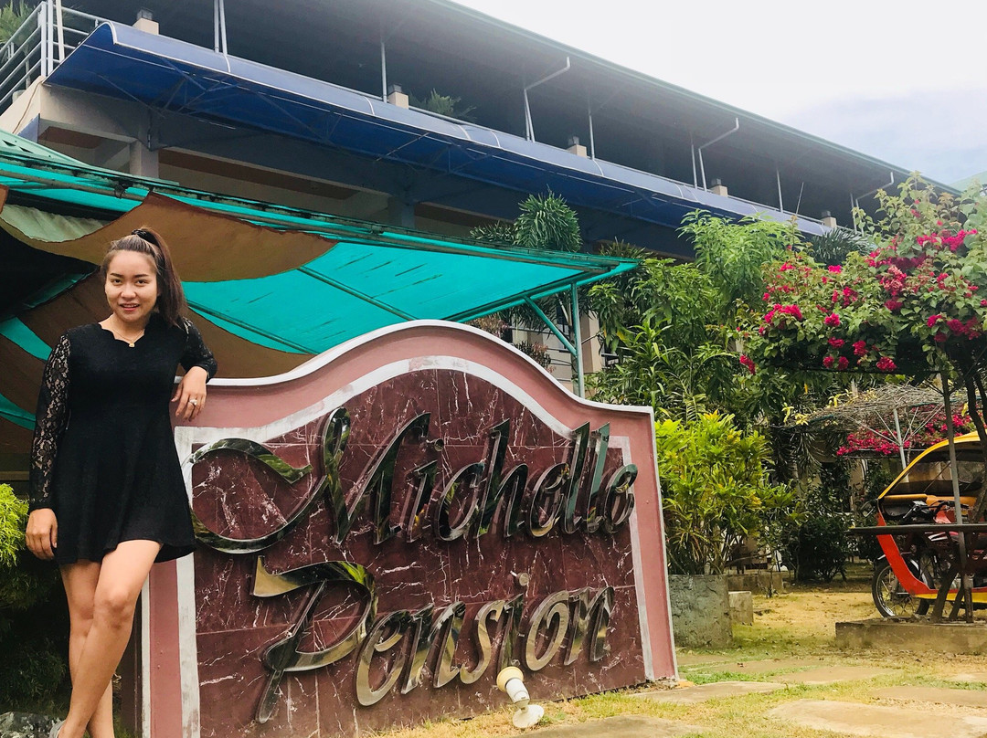 Michelle Pension主图