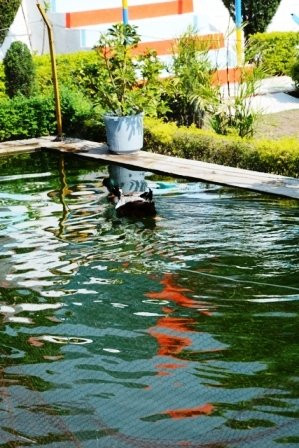 Bay Leaf Resort主图