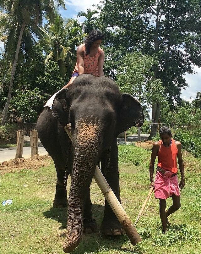 Journey Lanka景点图片