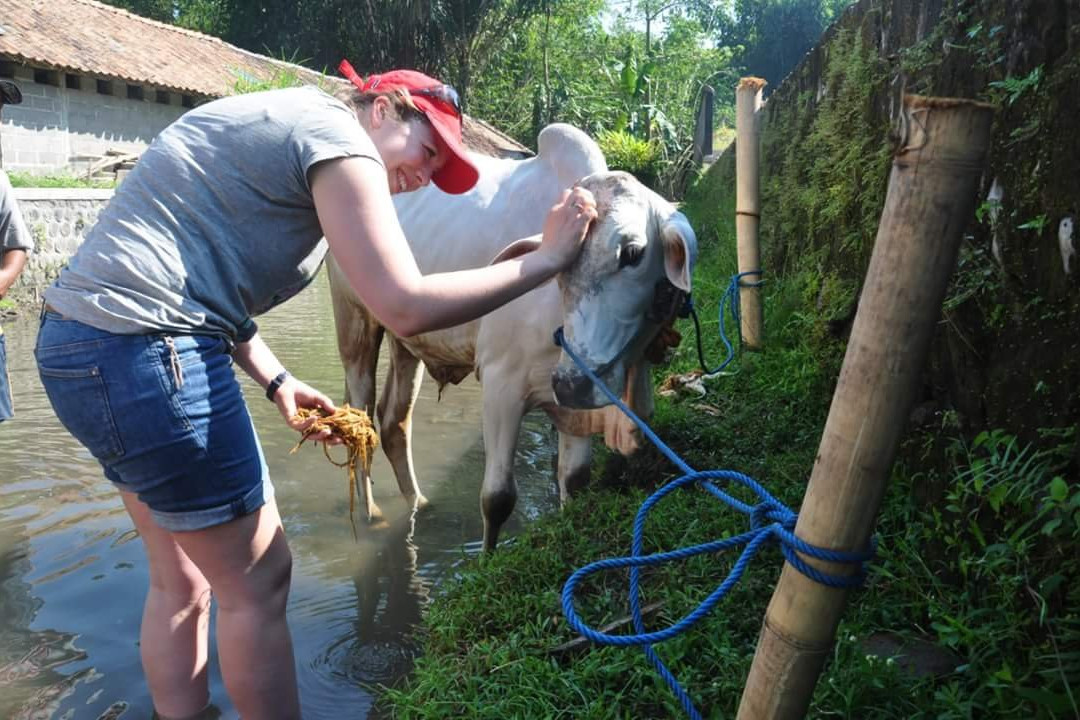 Jogja Tourist-Yogyakarta必去景点