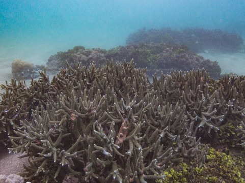 Ocean Gardener-登巴萨必去景点