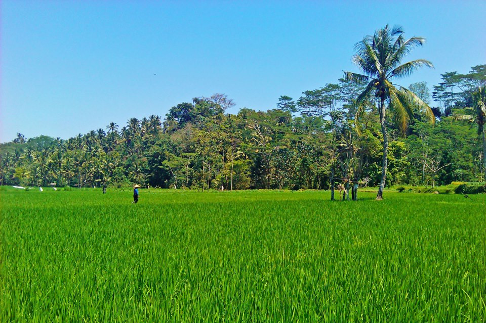 Wangsean Village-卡朗阿森必去景点