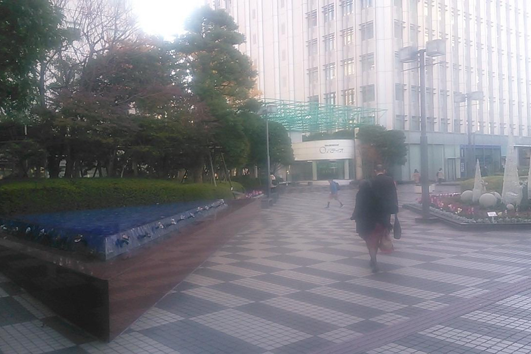 Ohsaki New City景点图片