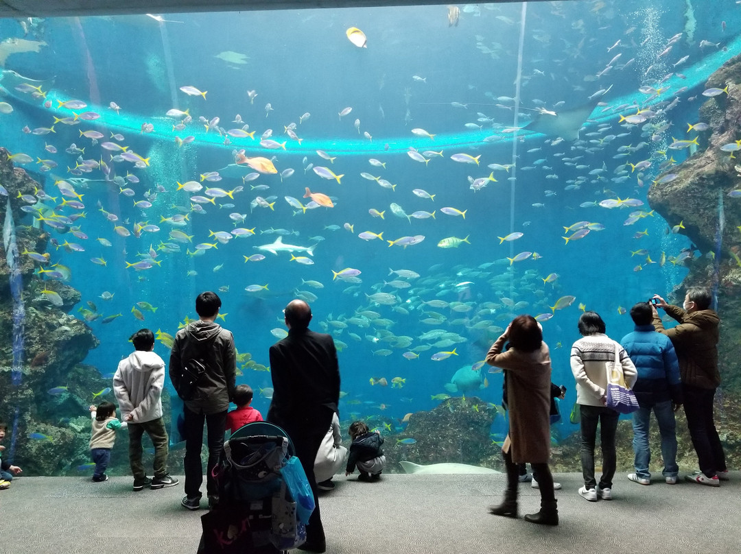 日本海洋馆设计之天空中的企鹅-上海艺海园景观工程有限公司