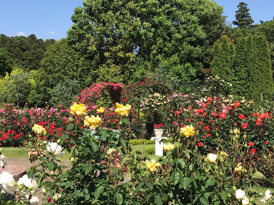 野田市旅游攻略图片