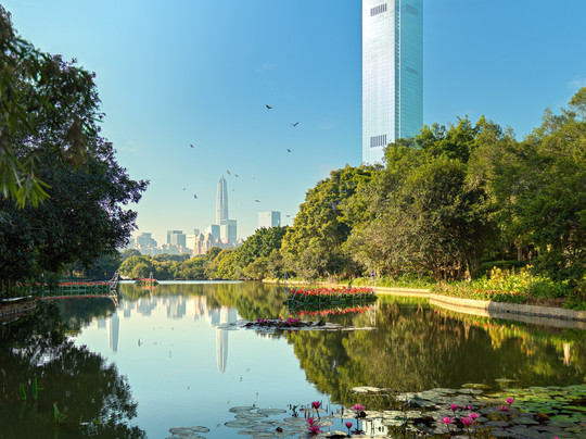 Mandarin Oriental, Shenzhen主图