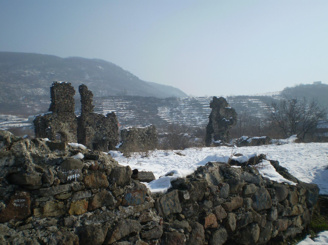 Vynohradiv旅游攻略图片