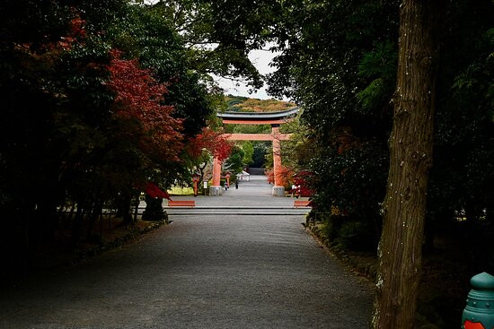 Usajingu Shrine Shinkyo景点图片
