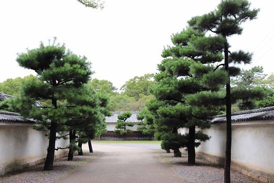 Kameyama Park (Marugame Castle)-丸龟市必去景点