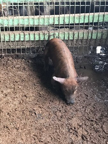 Fazenda Angolana-Canguera必去景点