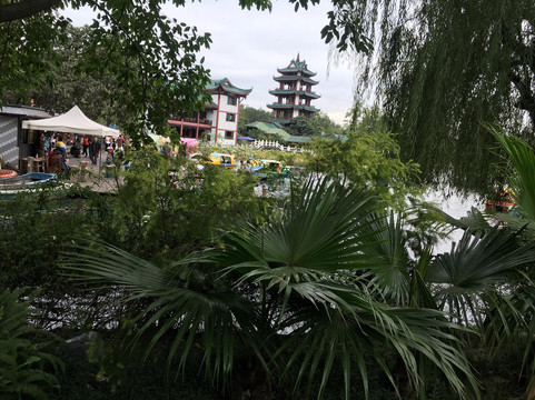 新都桂湖公园-成都必去景点