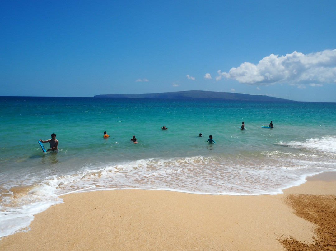 Makena State Park景点图片