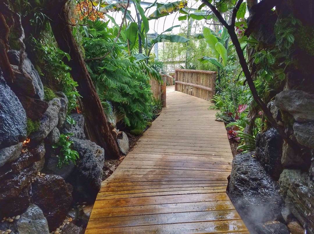 Somers旅游攻略图片