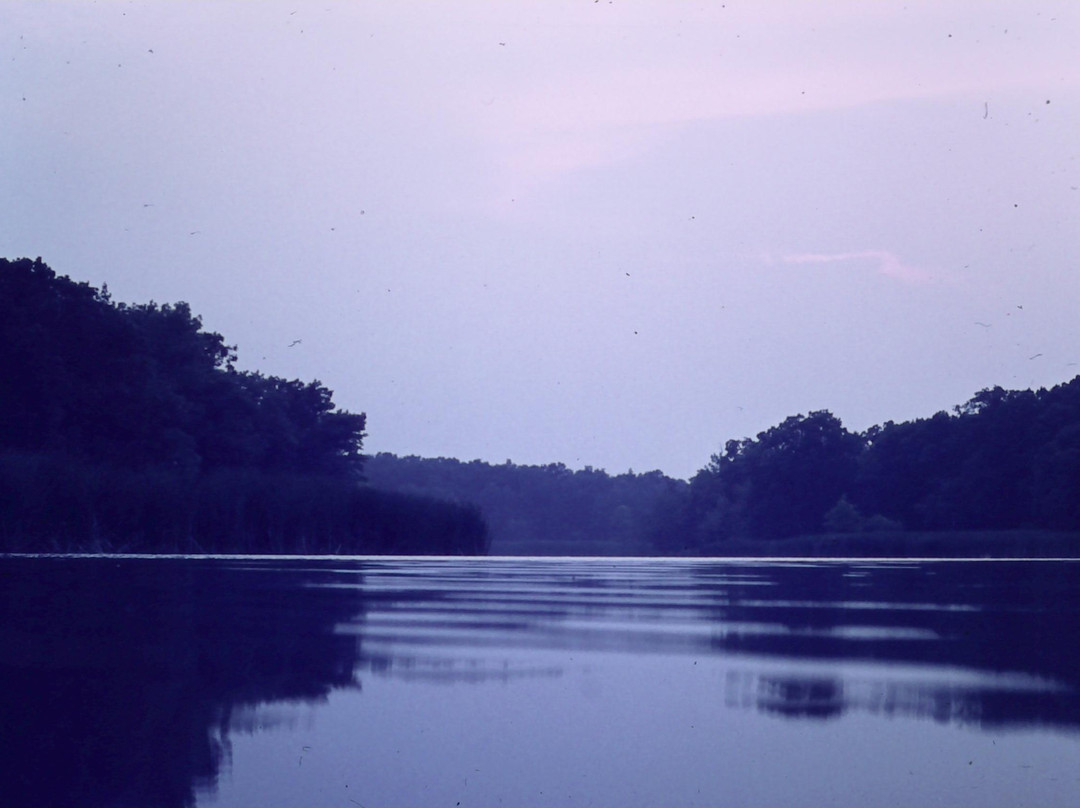 Cedar Creek Conservation Area-Kingsville必去景点