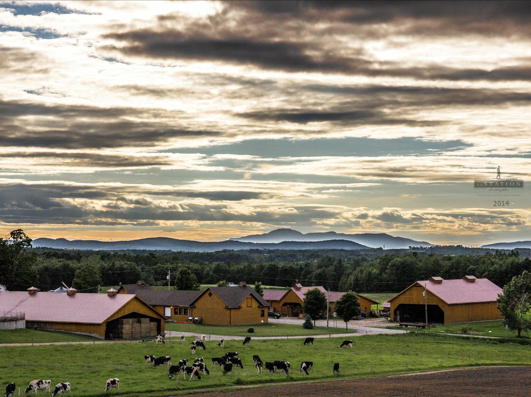 Compton旅游攻略图片