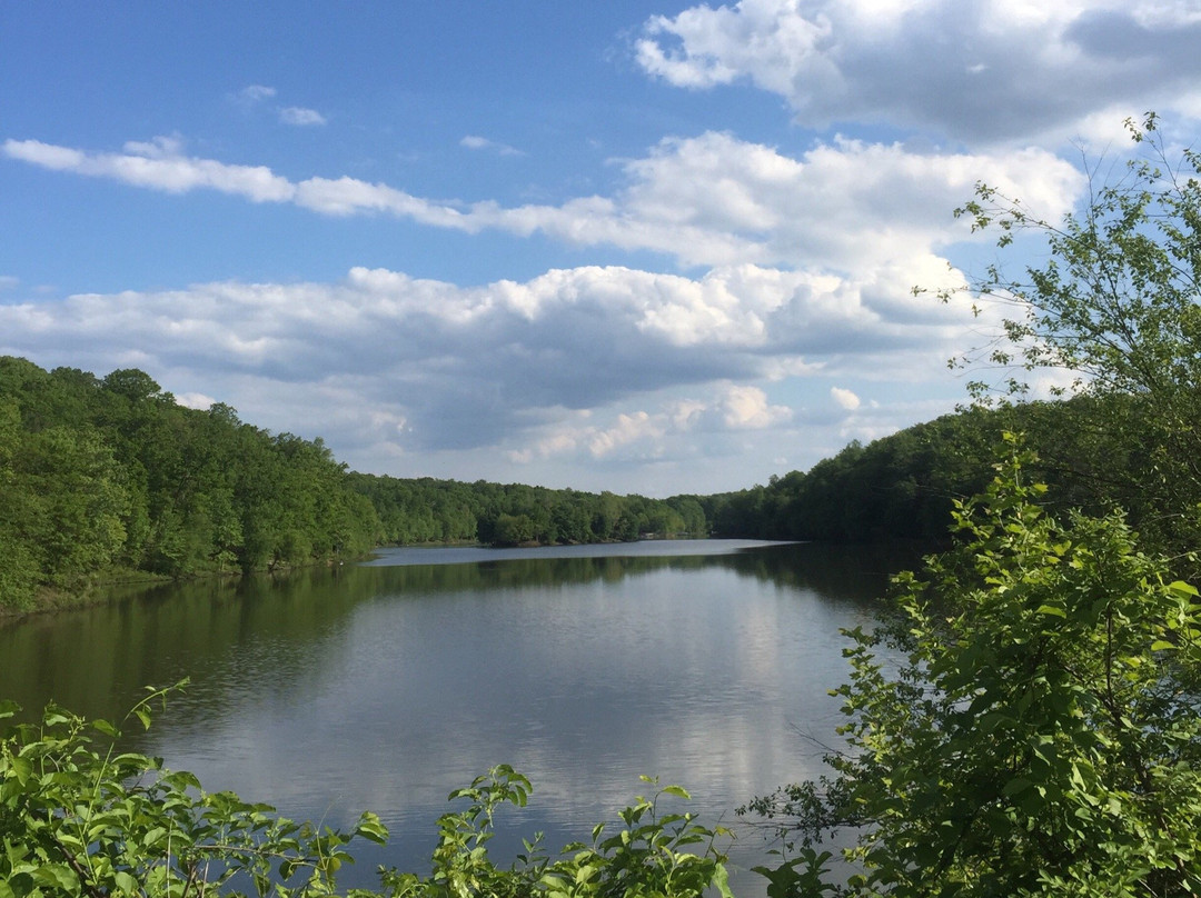 罗克维尔旅游攻略图片