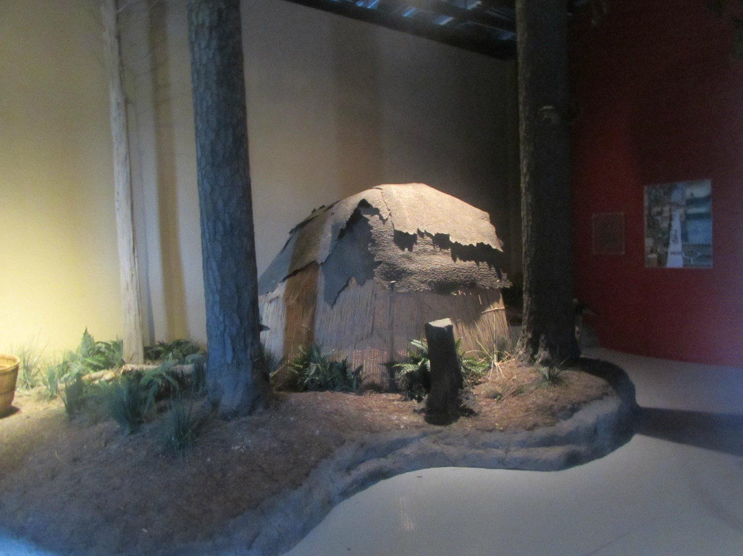 Delmarva Discovery Museum-Pocomoke City必去景点