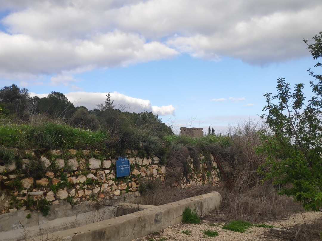 Ilaniyya旅游攻略图片