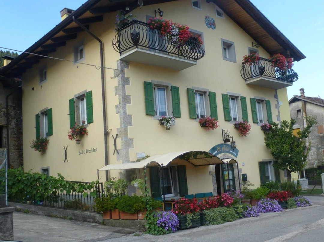 Ravascletto酒店住宿-B&B In Plàit