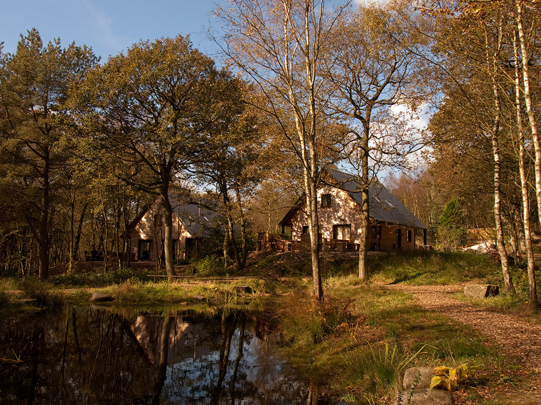 Ramshorn Estate