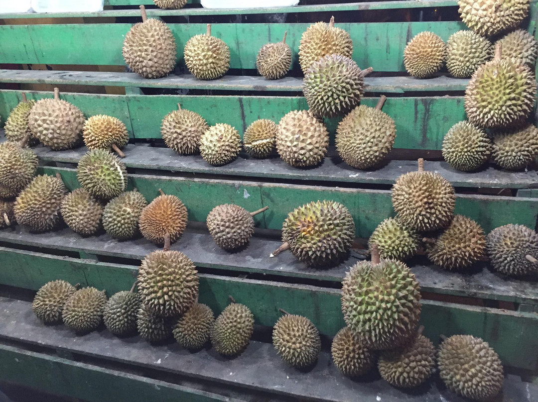 Rumah Durian Radit景点图片