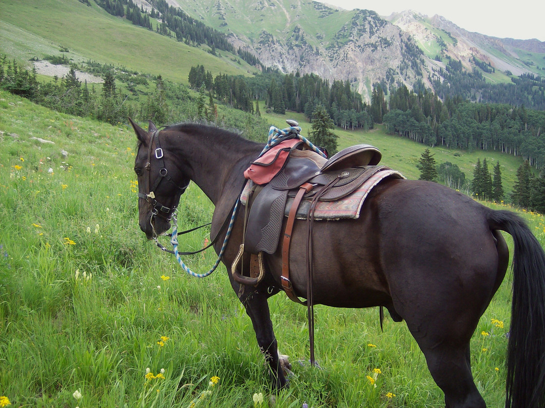 Outwest Guides - Day Tours-Marble必去景点