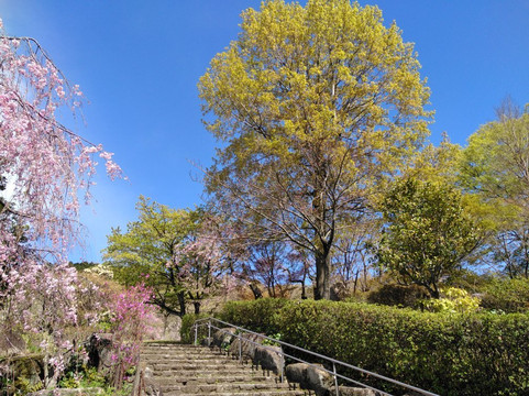 Togokusan Fruits Park-名古屋市必去景点