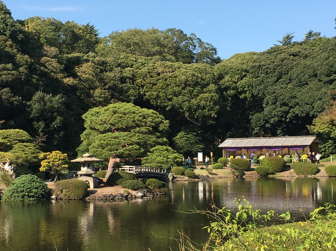 鹿沼市旅游景点-Kohoen Park