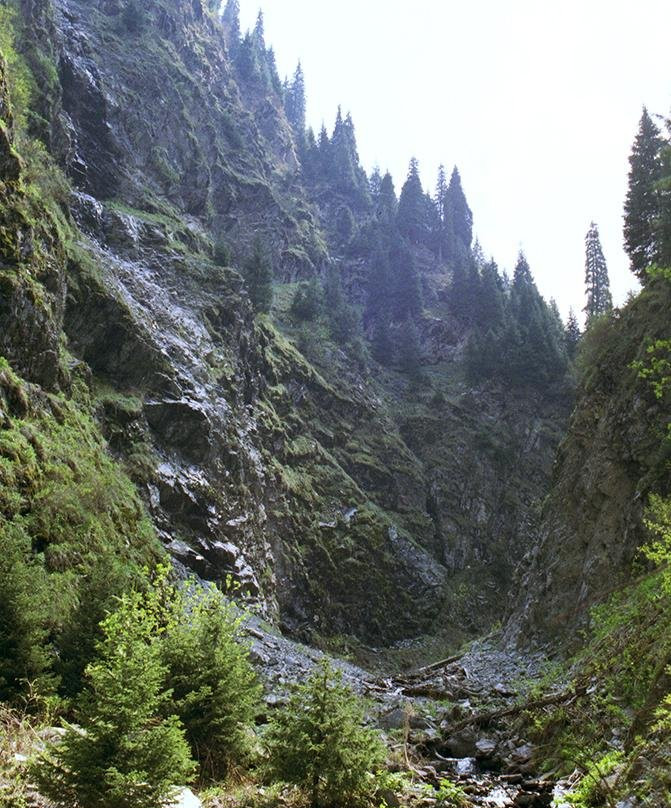 Besqaynar旅游景点-Ayusai Gorge