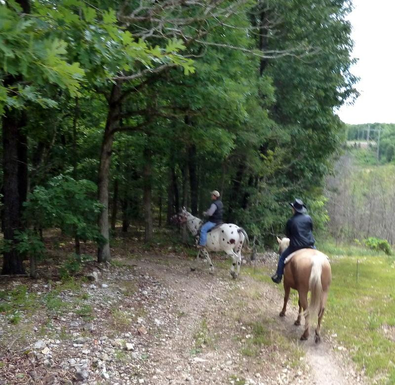 Bear Creek Trail Rides and Stable