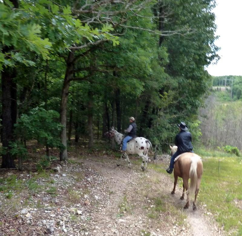 Bear Creek Trail Rides and Stable景点图片