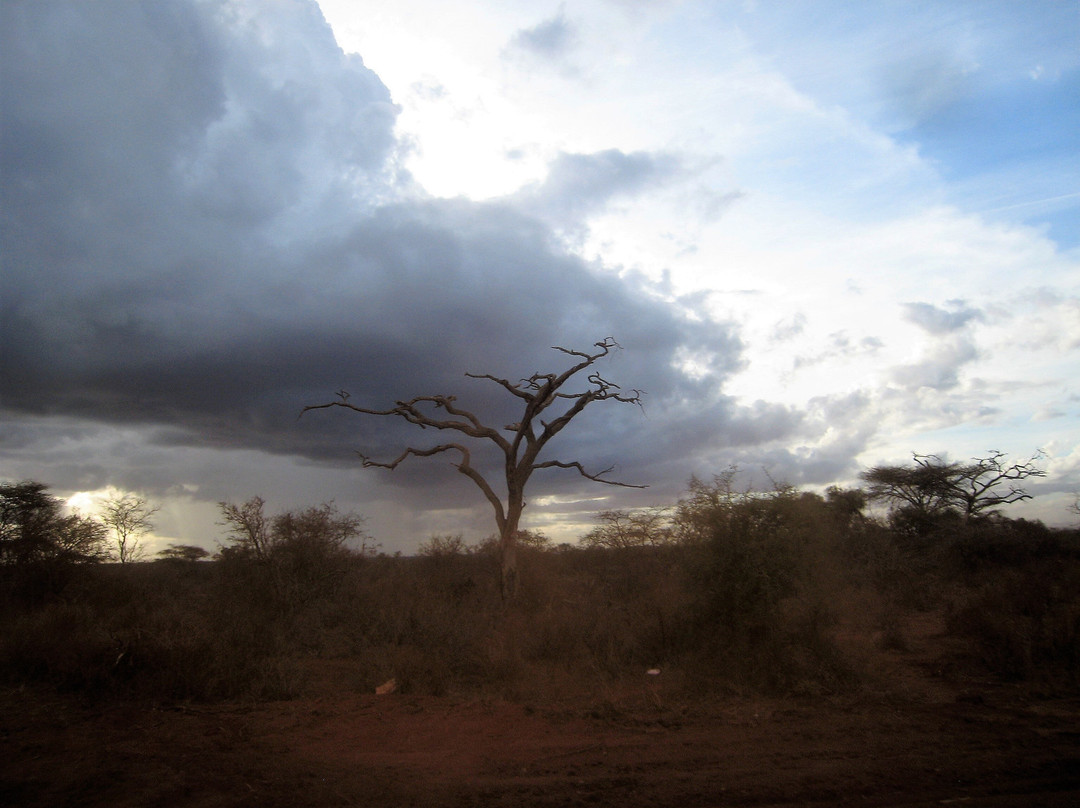 肯尼亚旅游攻略图片