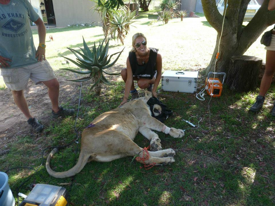 Umkhondo Big Five-阿尔贝蒂娜必去景点