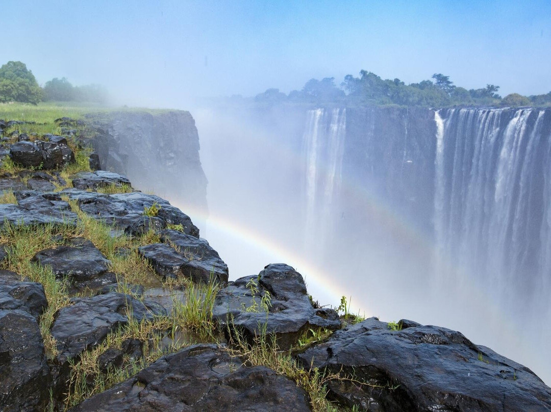 Cuckoo Safaris