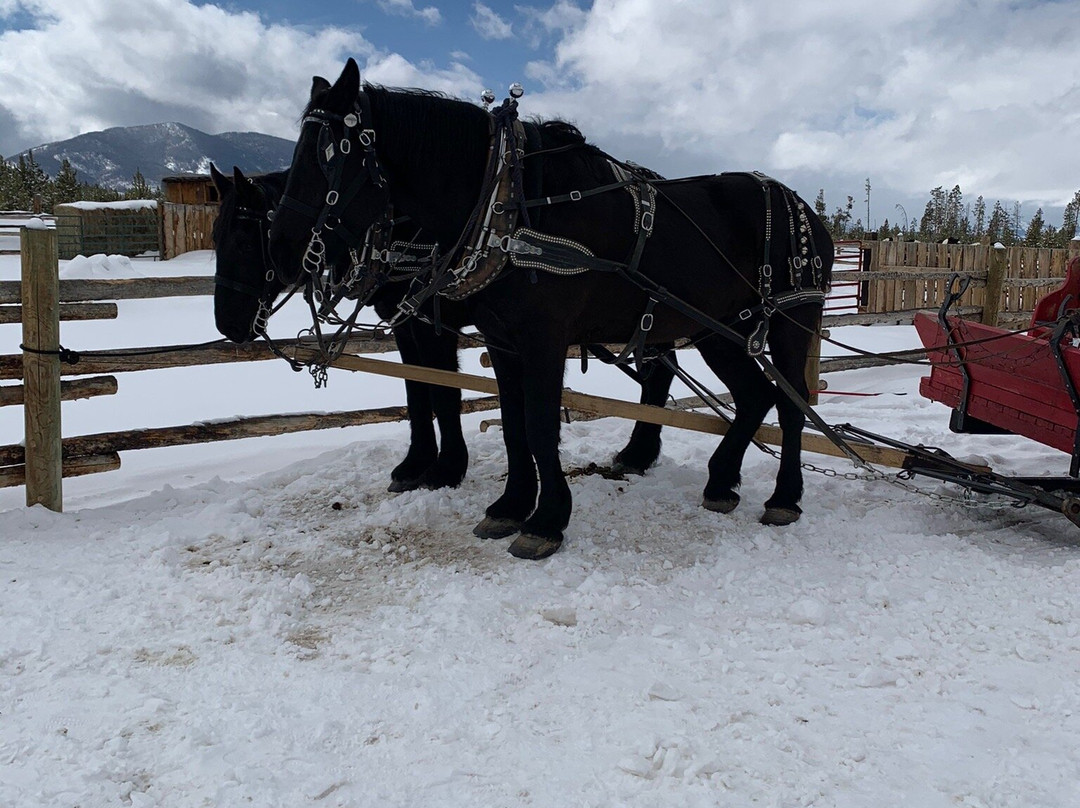 Dashing Thru The Snow-Fraser必去景点