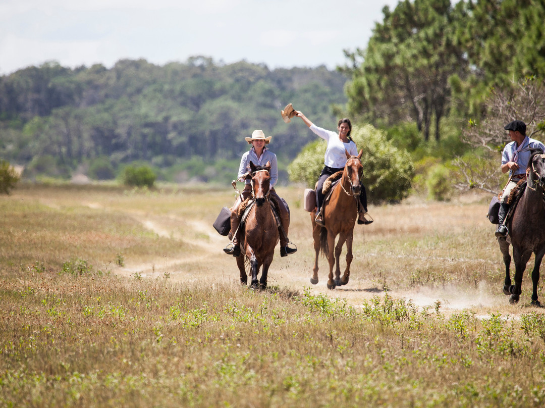 Lares Cabalgatas & Paseos-Jose Ignacio必去景点