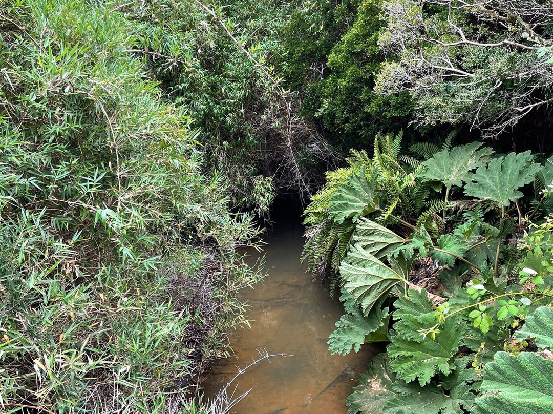 Parque Nacional Chiloé-奇洛埃岛必去景点