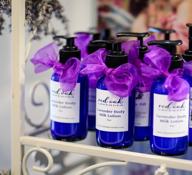 Red Oak Lavender Farm-达洛尼加必去景点