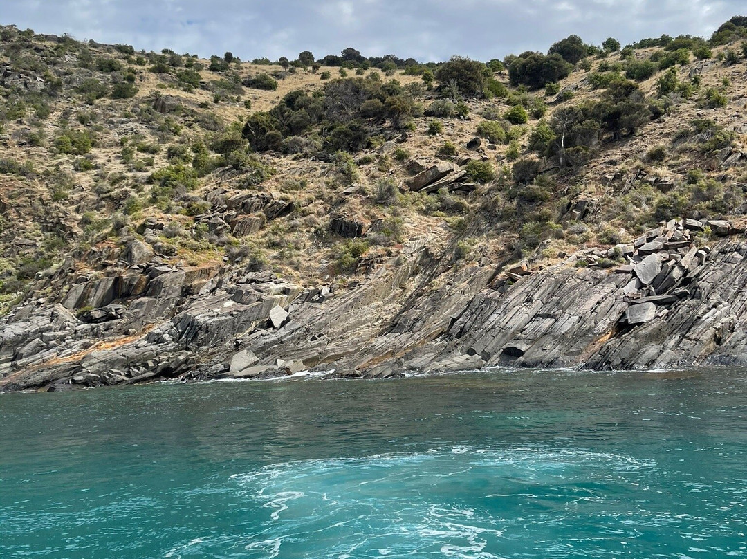 Kangaroo Island Ocean Safari景点图片