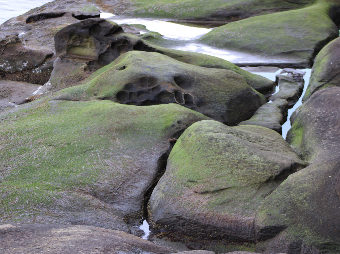 Roberts Memorial Provincial Park景点图片